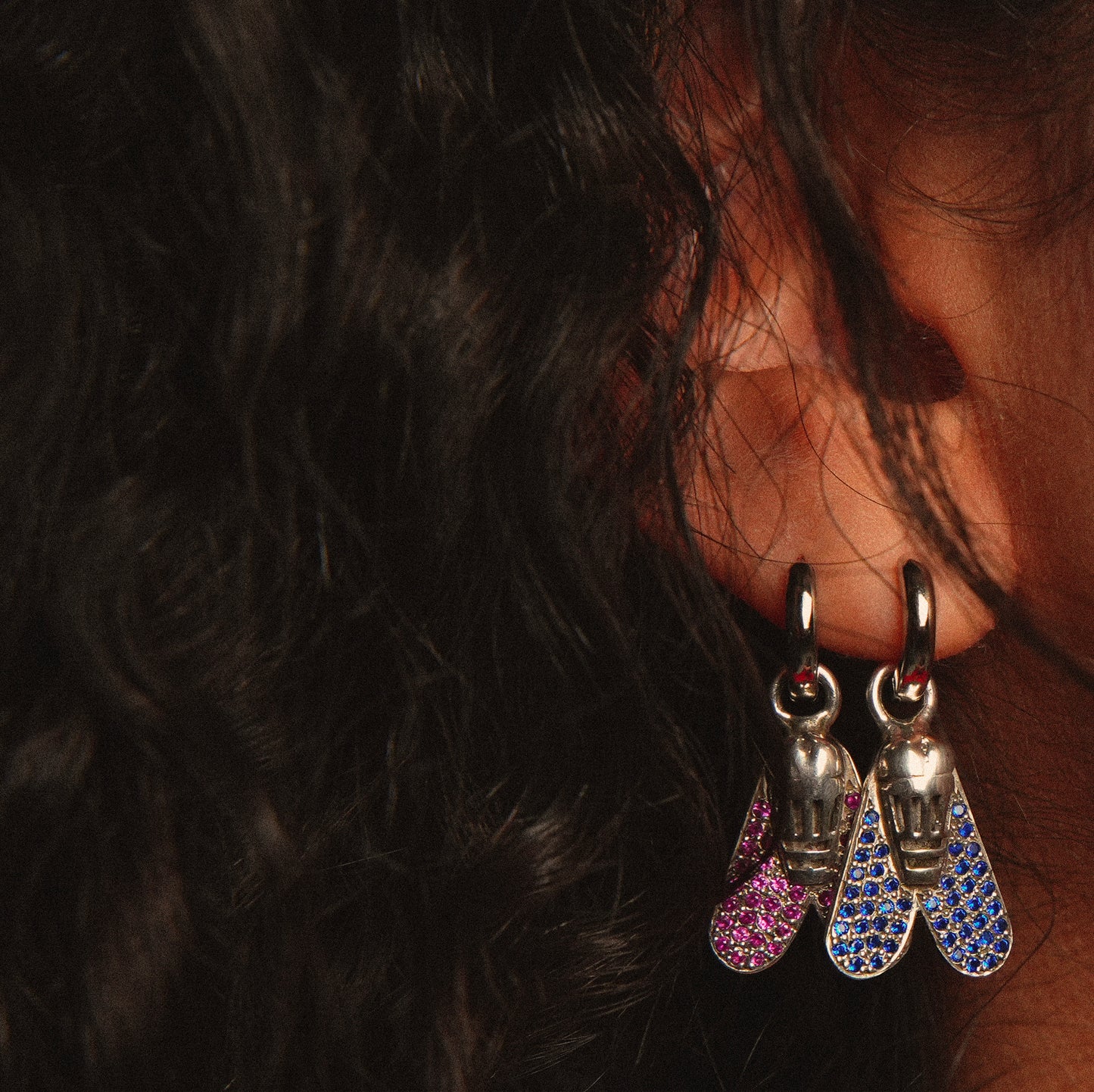 The Multi-Colored Striped Beetle