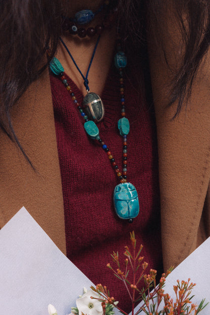 The Multi-Colored Striped Beetle